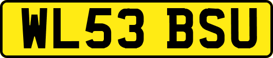 WL53BSU