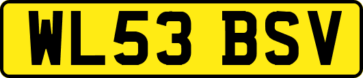 WL53BSV