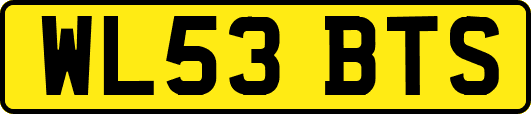WL53BTS