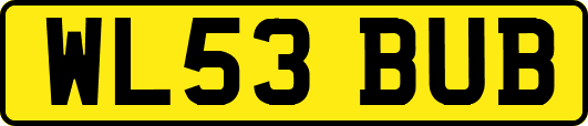 WL53BUB