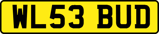 WL53BUD