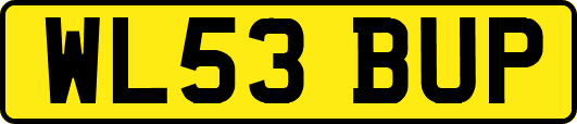 WL53BUP