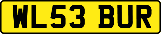 WL53BUR