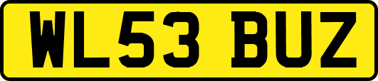 WL53BUZ