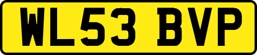 WL53BVP