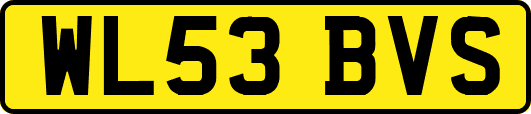 WL53BVS