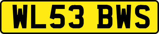 WL53BWS