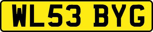 WL53BYG