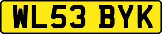 WL53BYK