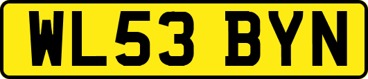 WL53BYN