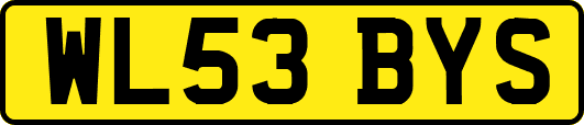 WL53BYS