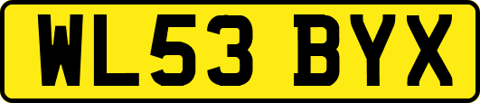 WL53BYX