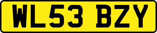 WL53BZY