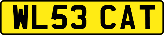 WL53CAT