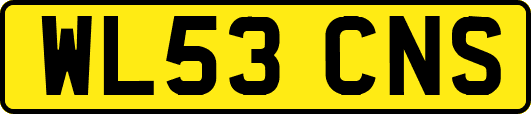 WL53CNS