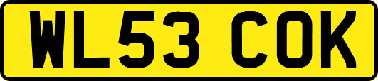 WL53COK