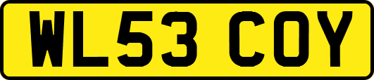 WL53COY