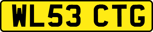 WL53CTG