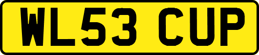 WL53CUP