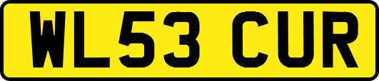 WL53CUR