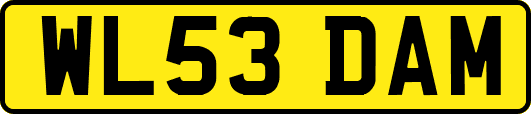 WL53DAM
