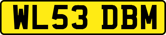 WL53DBM