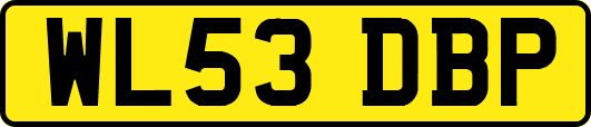 WL53DBP