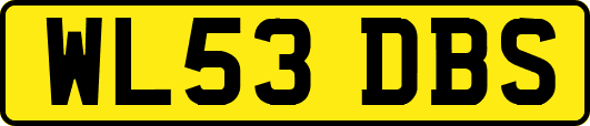 WL53DBS