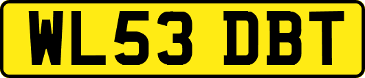 WL53DBT
