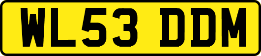WL53DDM