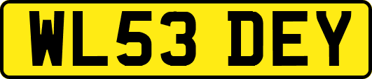 WL53DEY