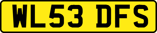 WL53DFS