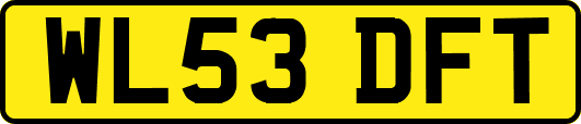 WL53DFT