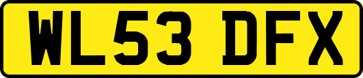 WL53DFX
