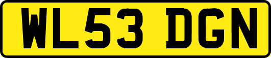 WL53DGN