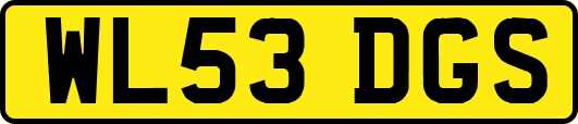 WL53DGS
