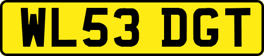 WL53DGT