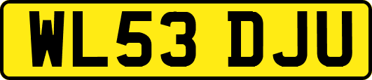 WL53DJU