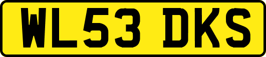 WL53DKS