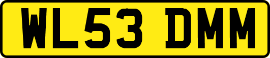 WL53DMM