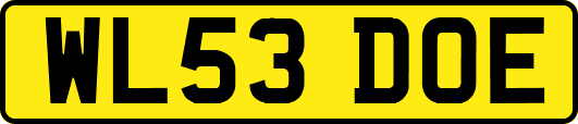 WL53DOE
