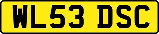 WL53DSC
