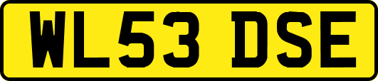WL53DSE