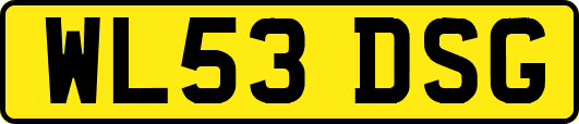 WL53DSG