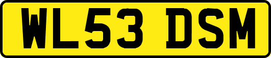 WL53DSM