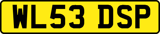 WL53DSP