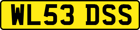 WL53DSS