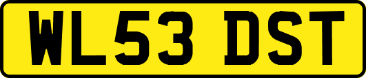 WL53DST