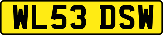 WL53DSW