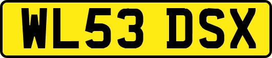 WL53DSX